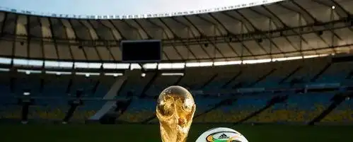 2026年世界杯版权中国大陆_FIFA世界杯版权报价差异_2026年世界杯现场直播